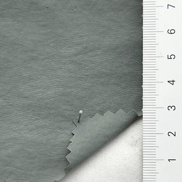 19 Gray