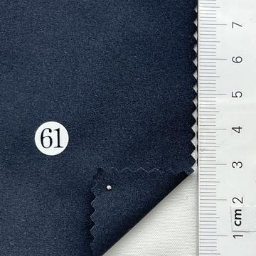 61 Navy