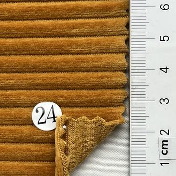 24 Camel