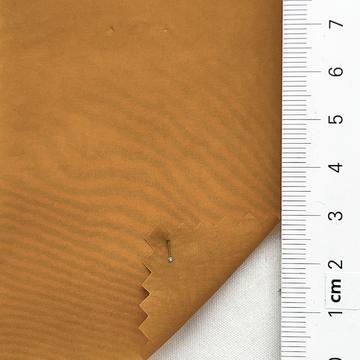 13 Camel