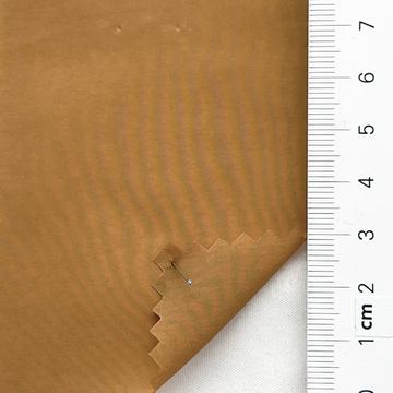 14 Camel