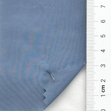19 Pale Blue