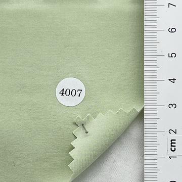 4007 Pale Green