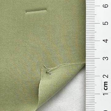 4029 Pale Green
