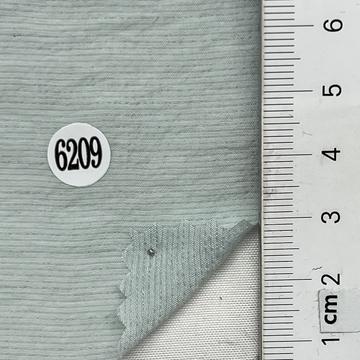 6209 Pale Green