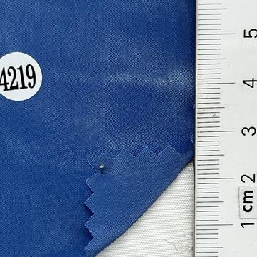 4219 Blue