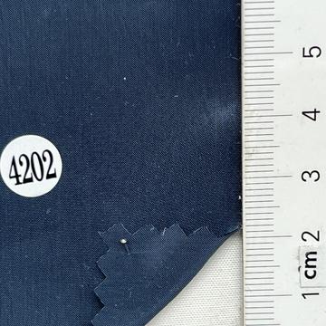 4202 Blue