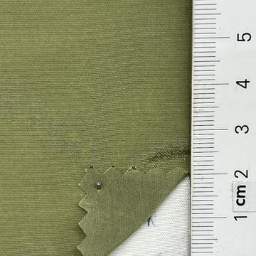 17 Pale Green