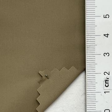 19 Beige