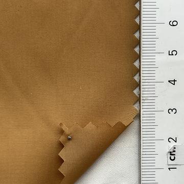 19 Camel
