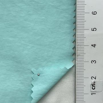 19 Pale Blue