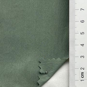 13 Pale Green