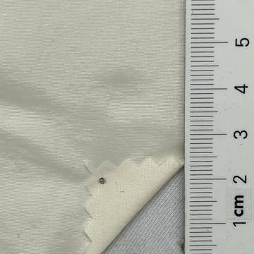 99999 Ivory