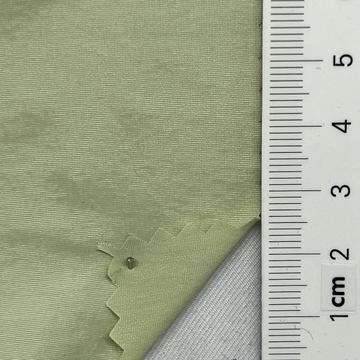 99999 Pale Green
