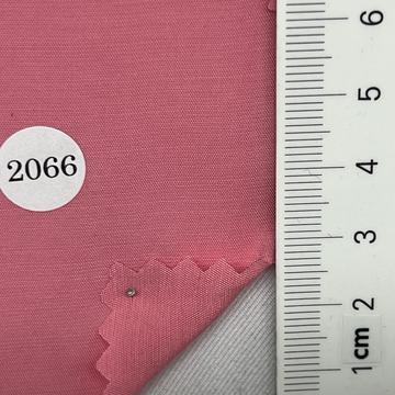 2066 Pink