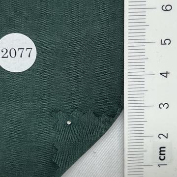 2077 Deep Green