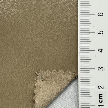 11 Camel