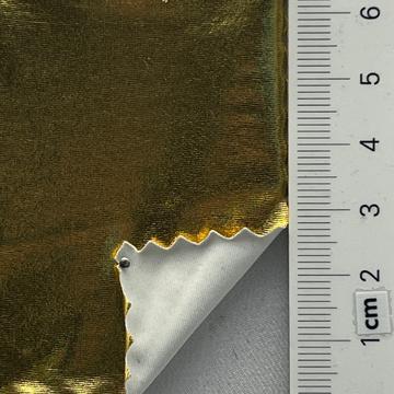 Polyester PU Coated (front) Single Jersey