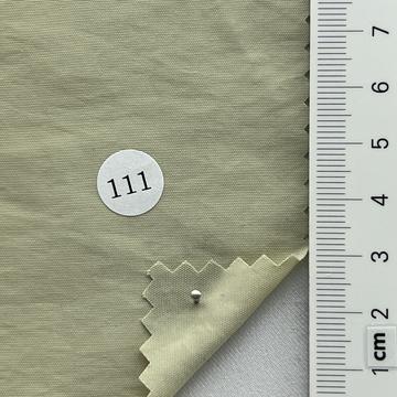 111 Pale Green