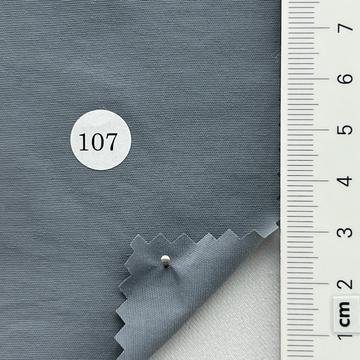 107 Pale Blue
