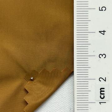 21 Camel