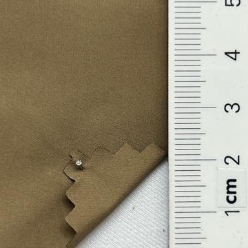 36 Camel