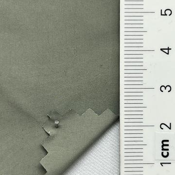 63 Pale Green
