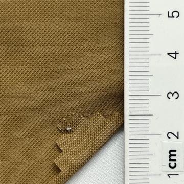 12 Camel