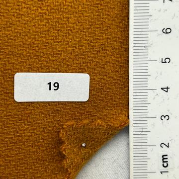 19 Camel