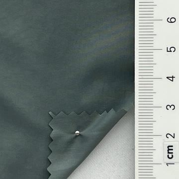 31 Pale Green