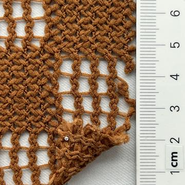 10 Camel