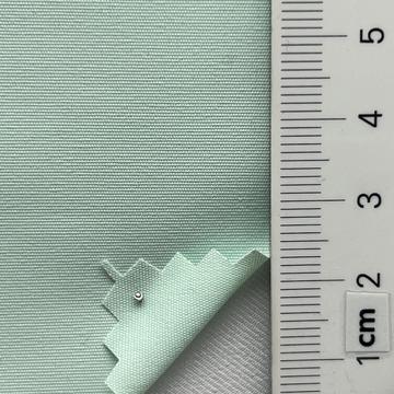 17 Pale Green
