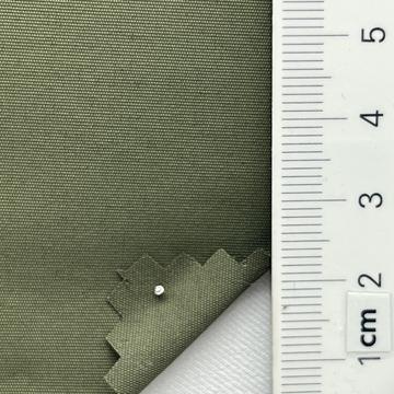 47 Green