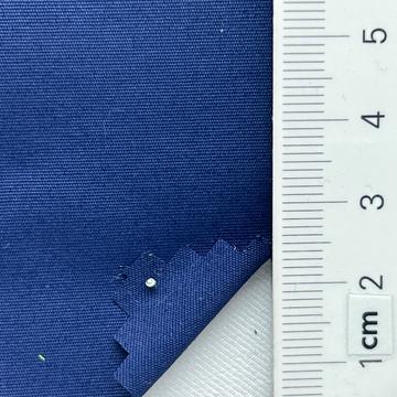 51 Blue