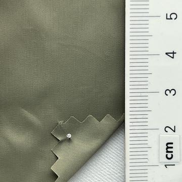 7 Pale Green