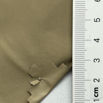 39 Camel