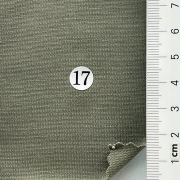 17 Pale Green