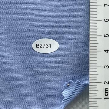 B2731 Pale Blue