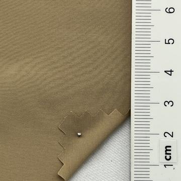 10 Camel