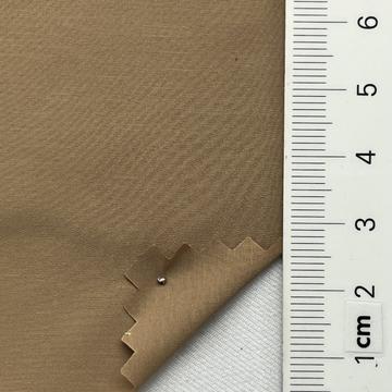 12 Camel