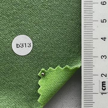 b313 Pale Green