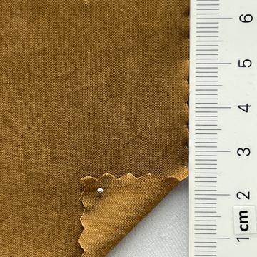 19 Camel