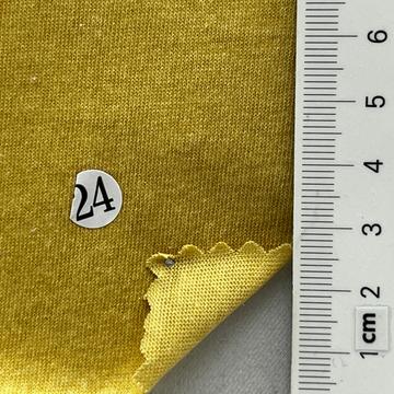 24 Camel