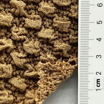 4 Beige