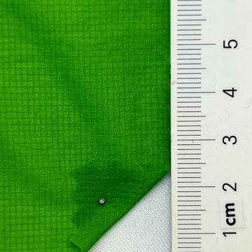 19 Green