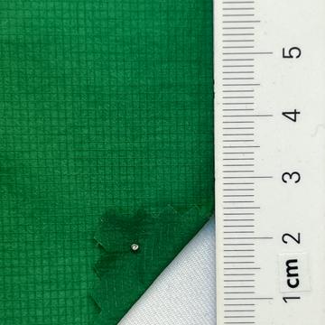 21 Green