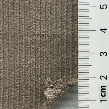25 Gray