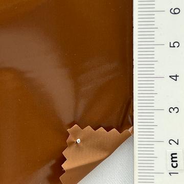 41 Camel