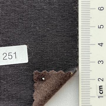 251 Brown