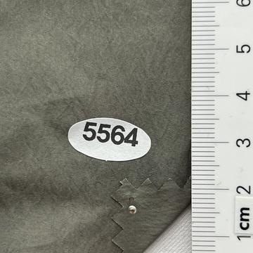5564 Green